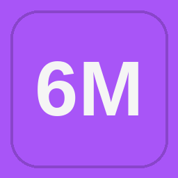6 Management logo