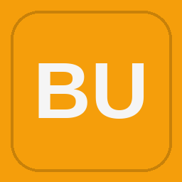 BD UPSTATE CONSTRUCTION INC logo
