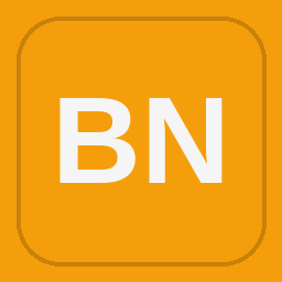 Bestmark National LLC logo