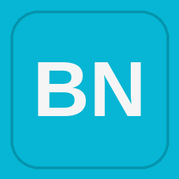 Boddie-Noell Enterprises logo