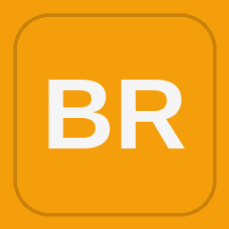 Brady logo