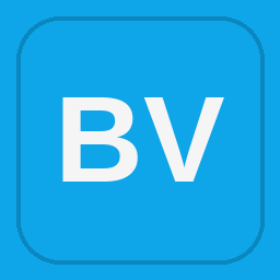 Brook Valley Salvage McAllen,TX #735 - McAllen Export logo