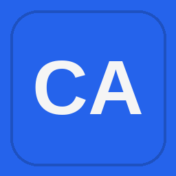 Capital Assets Inc logo