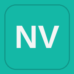 Nexus Valve Inc logo