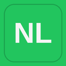 Northern Lights Electric logo