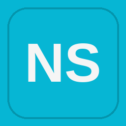 NSC Staffing logo