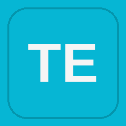 TEKsystems logo