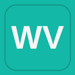 Western View Painting LLC logo