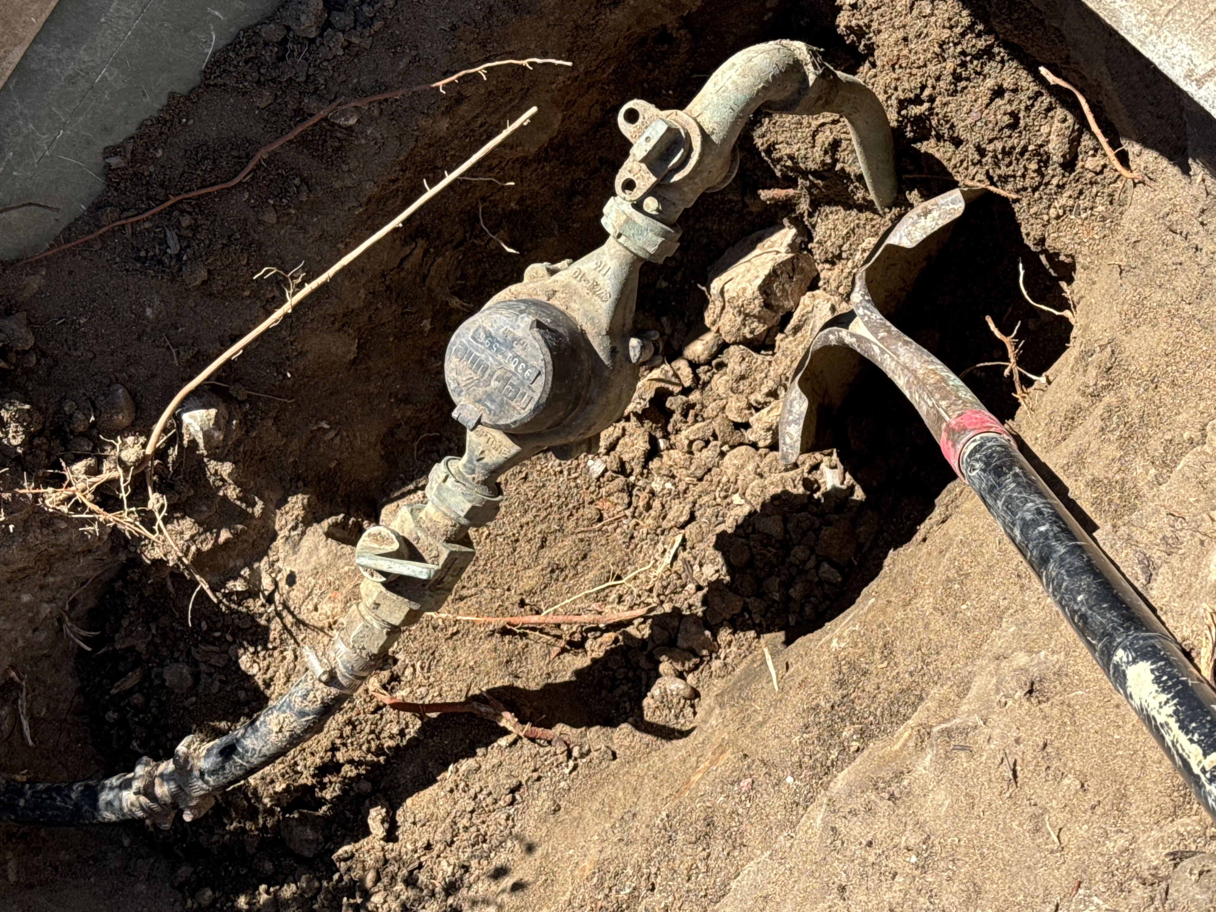 Carlos — Landscaping work in Lemon Grove, CA