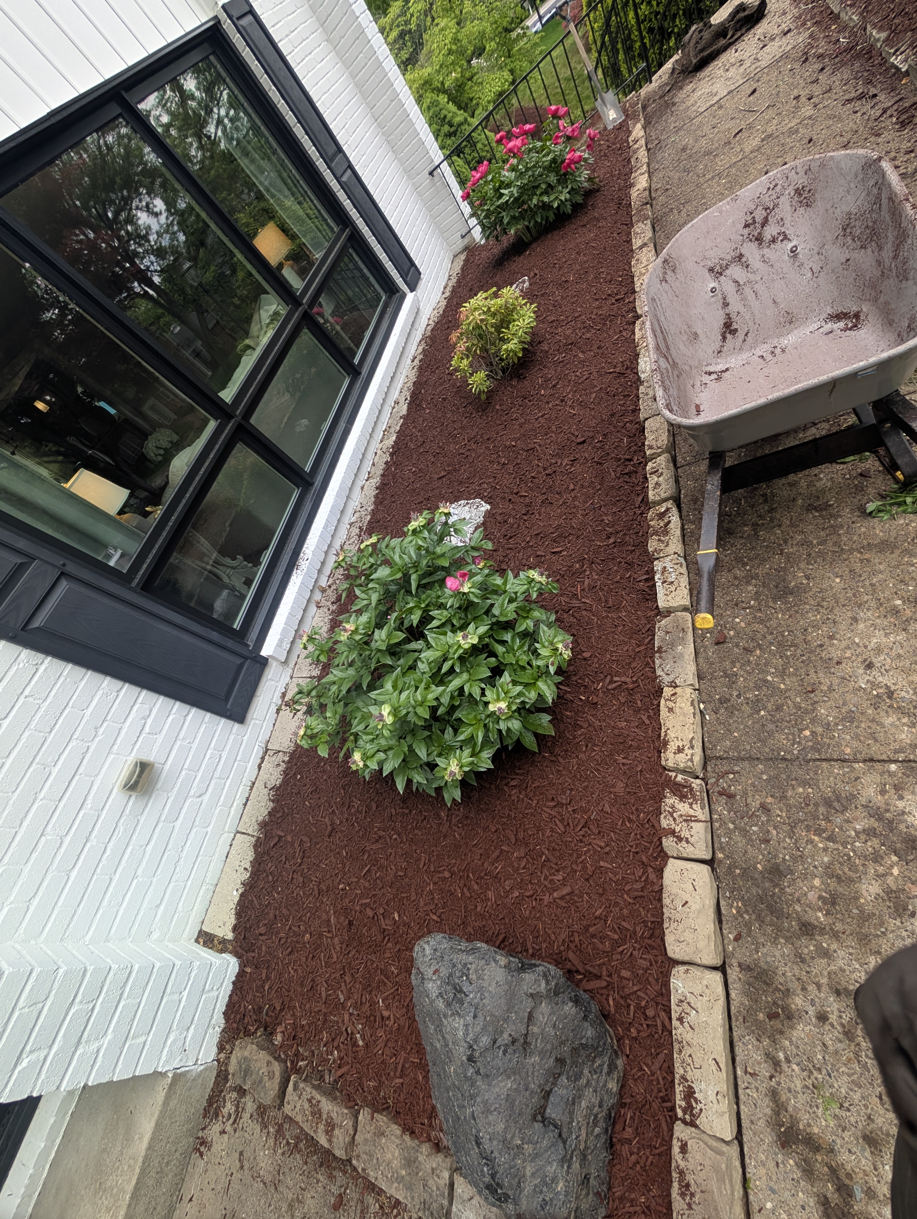 Damir work in Valley Forge, PA