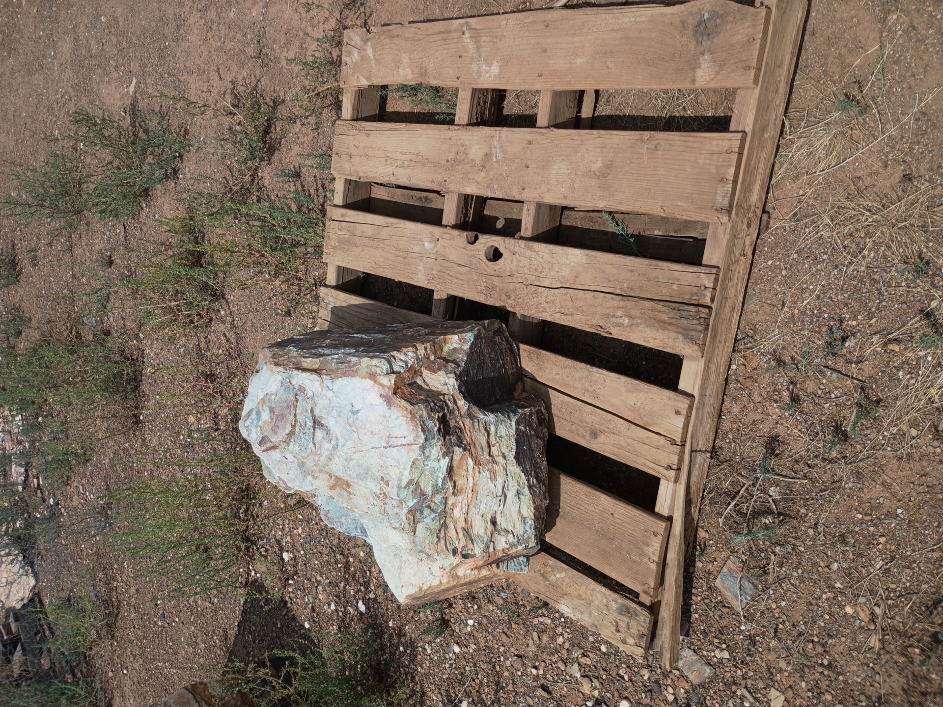 Darrick — Concrete work in Chandler, AZ